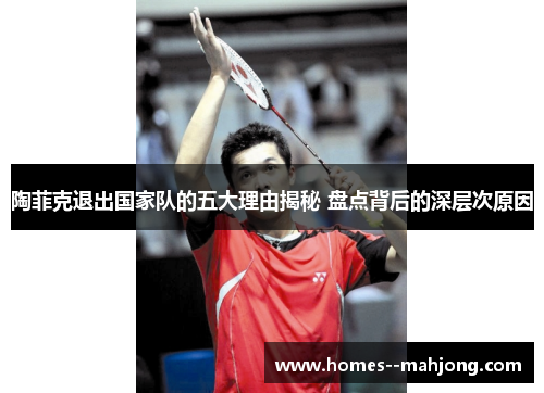 陶菲克退出国家队的五大理由揭秘 盘点背后的深层次原因